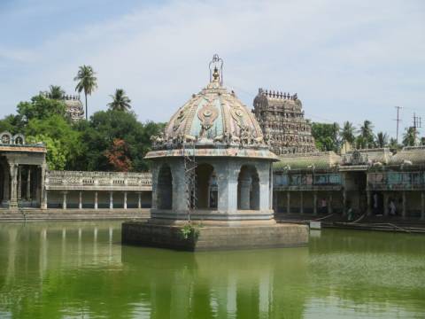 Sri vaitheeswaran koil Naadi Jodhidam